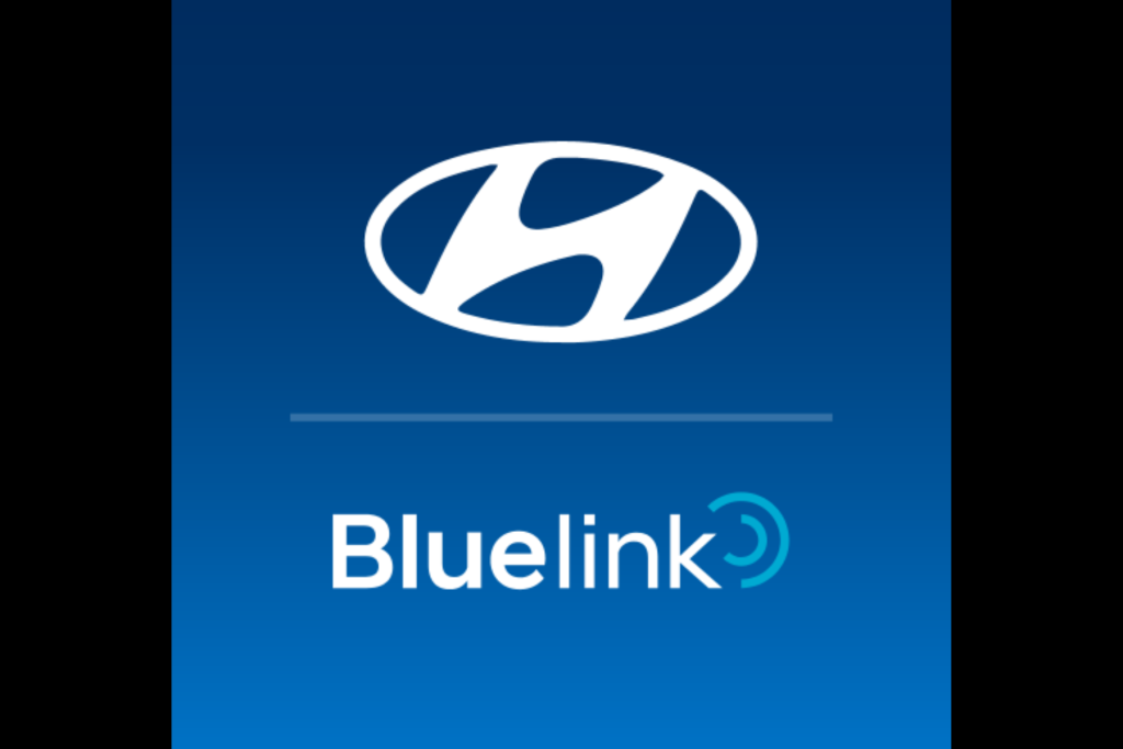 Bluelink logo