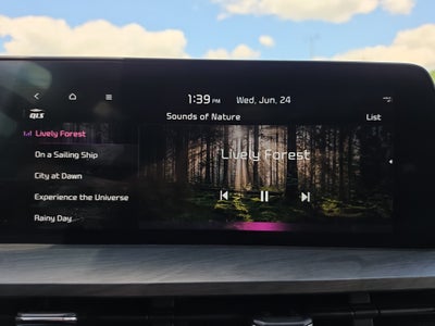 2024 Kia Telluride SX X-Pro