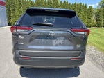 2025 Toyota RAV4 XLE AWD (Natl)