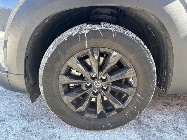 2025 Mazda Mazda CX-50 2.5 S Premium Package AWD