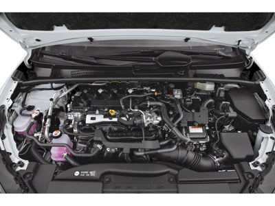 2023 Toyota Prius XLE AWD (Natl)