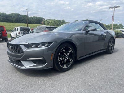 2025 Ford Mustang EcoBoost Premium Convertible