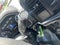 2021 Ford F-150 XL 4WD SuperCrew 5.5' Box