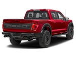 2024 Ford F-150 Raptor 4WD SuperCrew 5.5' Box
