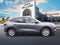 2025 Ford Escape Active AWD