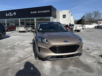 2020 Ford Escape SE AWD
