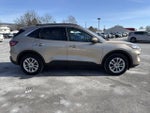 2020 Ford Escape SE AWD