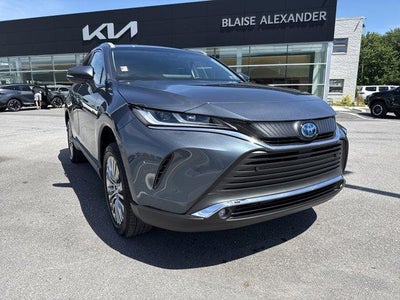 2024 Toyota Venza XLE AWD (SE)