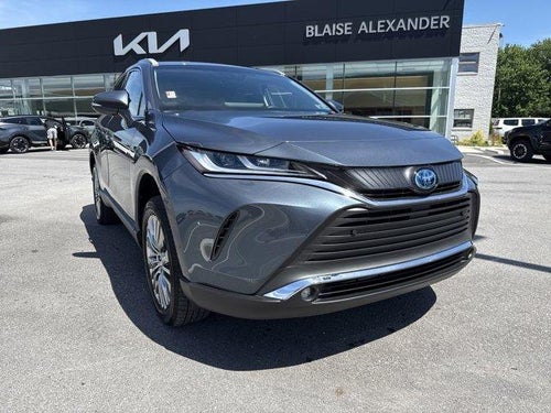 2024 Toyota Venza XLE AWD (SE)