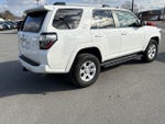 2024 Toyota 4Runner SR5 Premium 4WD (Natl)
