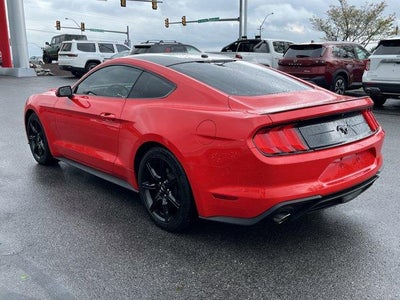 2019 Ford Mustang EcoBoost Fastback