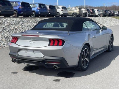 2025 Ford Mustang EcoBoost Premium Convertible