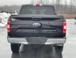 2019 Ford F-150 XLT 4WD SuperCrew 5.5' Box