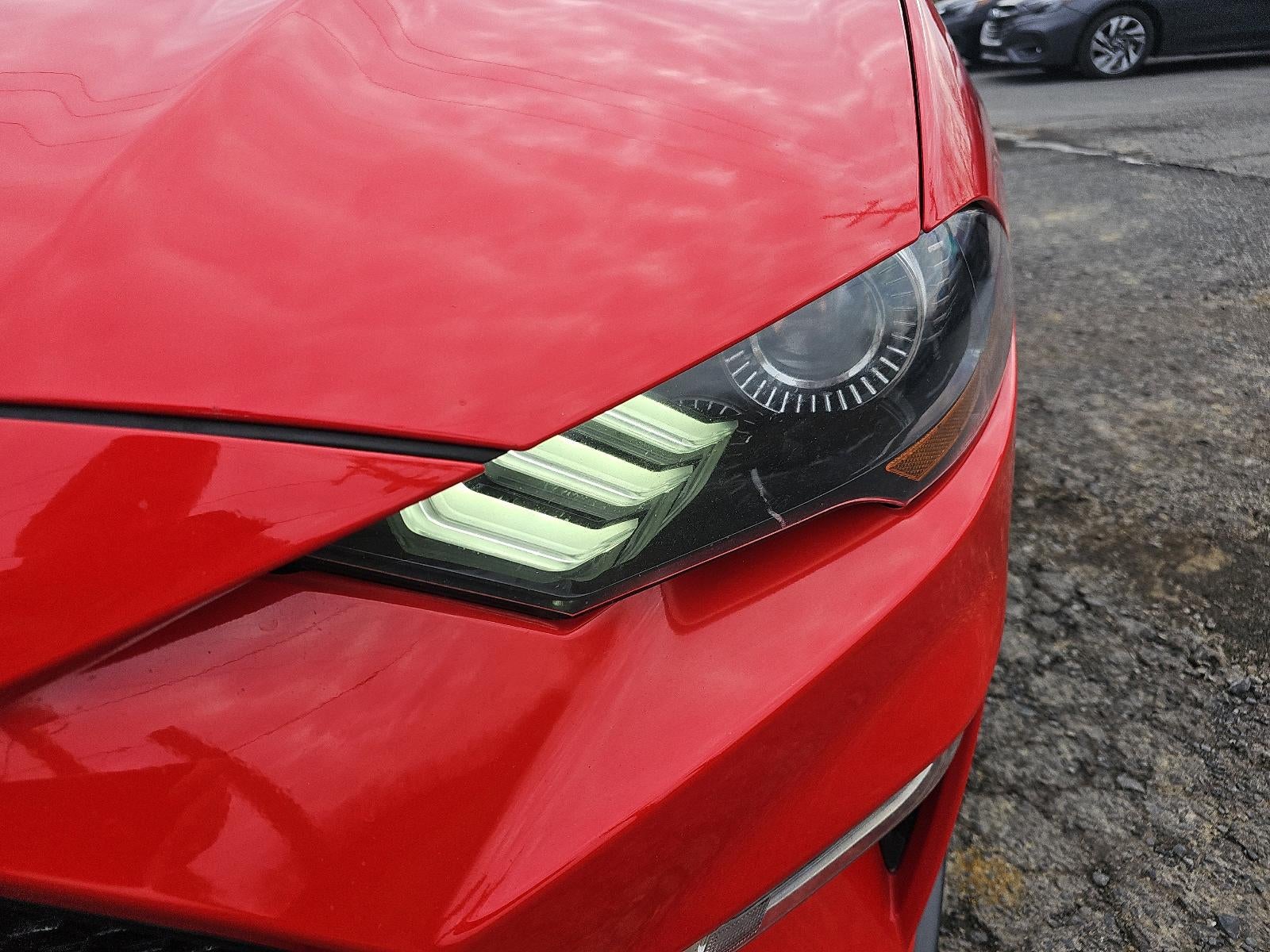 2019 Ford Mustang GT Premium Fastback