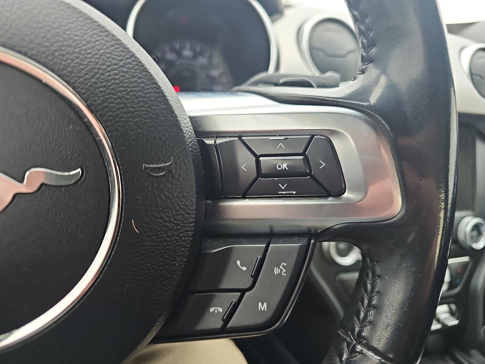 2019 Ford Mustang GT Premium Fastback