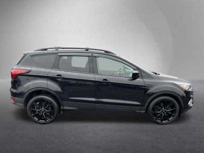 2019 Ford Escape SE 4WD
