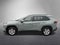 2019 Toyota RAV4 XLE AWD (Natl)