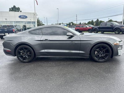 2019 Ford Mustang EcoBoost Fastback