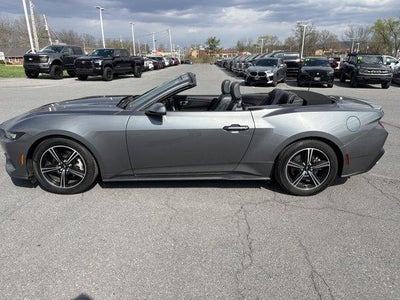 2025 Ford Mustang EcoBoost Premium Convertible