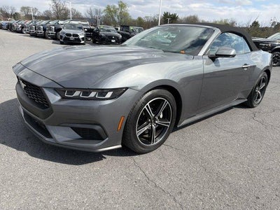 2025 Ford Mustang EcoBoost Premium Convertible