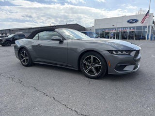 2025 Ford Mustang EcoBoost Premium Convertible