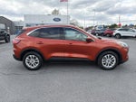 2020 Ford Escape SE AWD