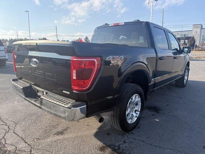 2023 Ford F-150 XLT 4WD SuperCrew 5.5' Box