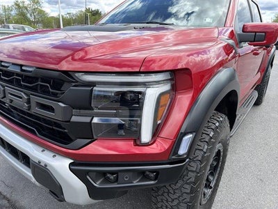 2024 Ford F-150 Raptor 4WD SuperCrew 5.5' Box