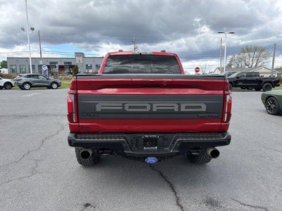 2024 Ford F-150 Raptor 4WD SuperCrew 5.5' Box