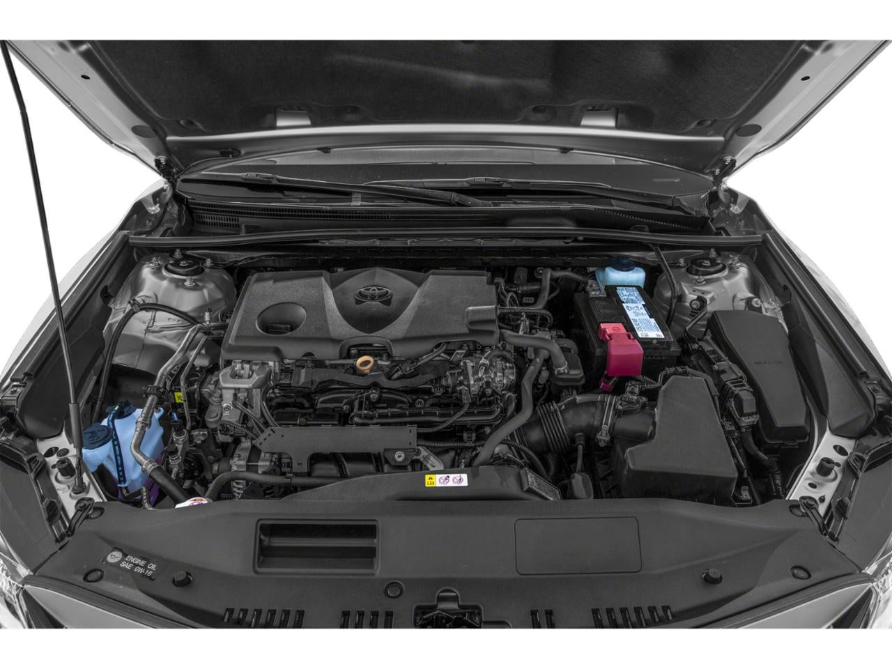 2022 Toyota Camry LE Auto AWD (Natl)
