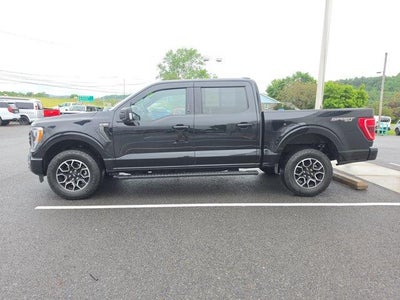 2023 Ford F-150 XLT 4WD SuperCrew 5.5' Box